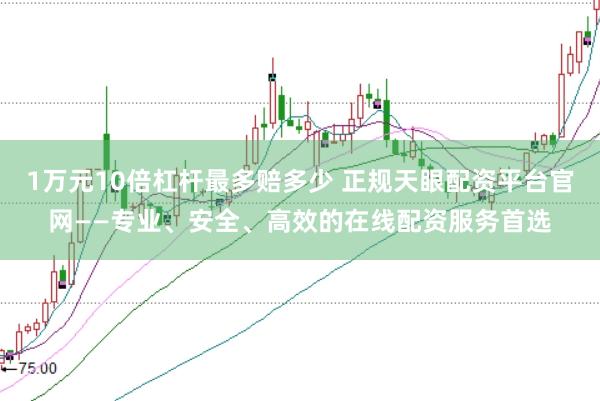 1万元10倍杠杆最多赔多少 正规天眼配资平台官网——专业、安全、高效的在线配资服务首选