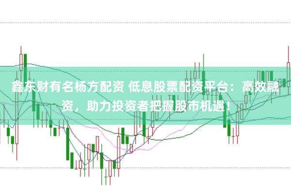鑫东财有名杨方配资 低息股票配资平台：高效融资，助力投资者把握股市机遇！