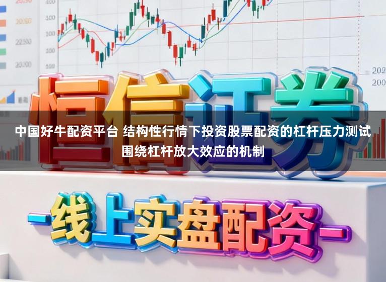 中国好牛配资平台 结构性行情下投资股票配资的杠杆压力测试围绕杠杆放大效应的机制