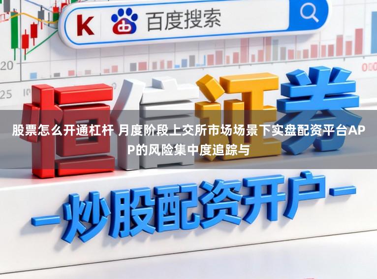股票怎么开通杠杆 月度阶段上交所市场场景下实盘配资平台APP的风险集中度追踪与